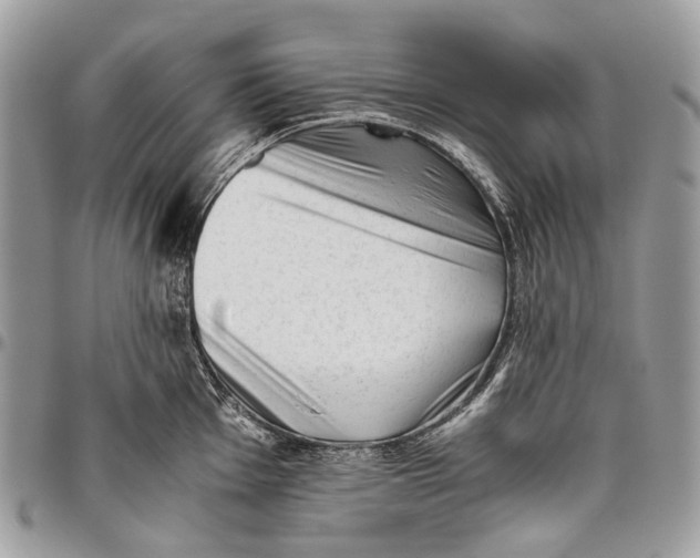 X0000096401001200802141514