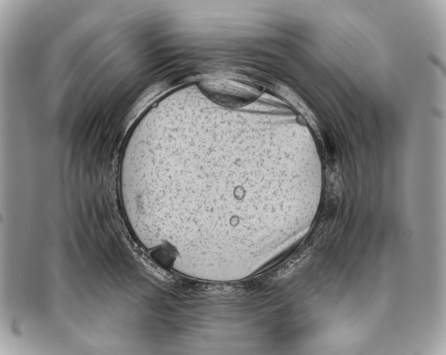 X0000096401002200802141514