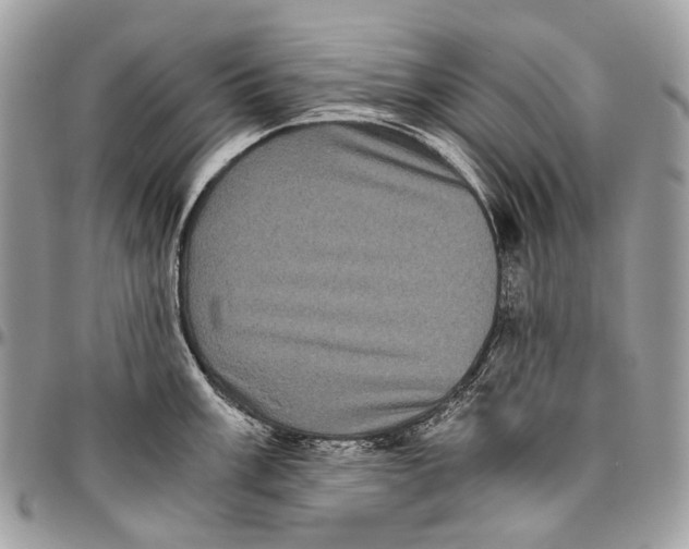 X0000096401003200802141514