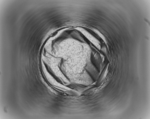 X0000096401005200802141514