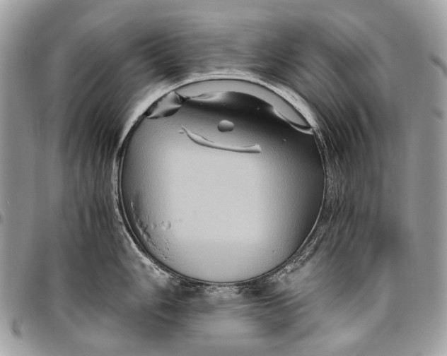 X0000096401006200802141514