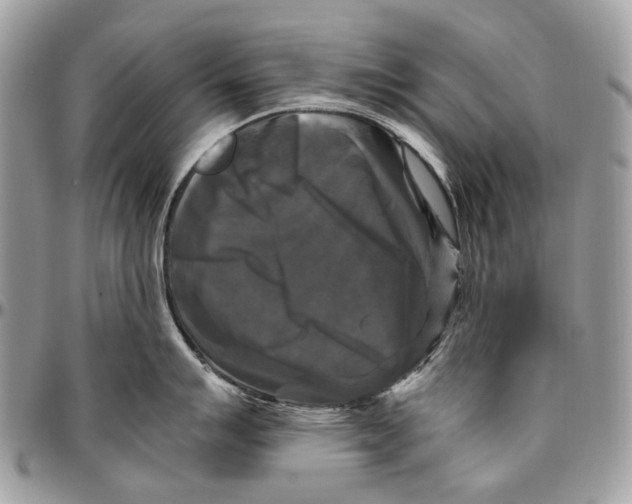 X0000096401007200802141514