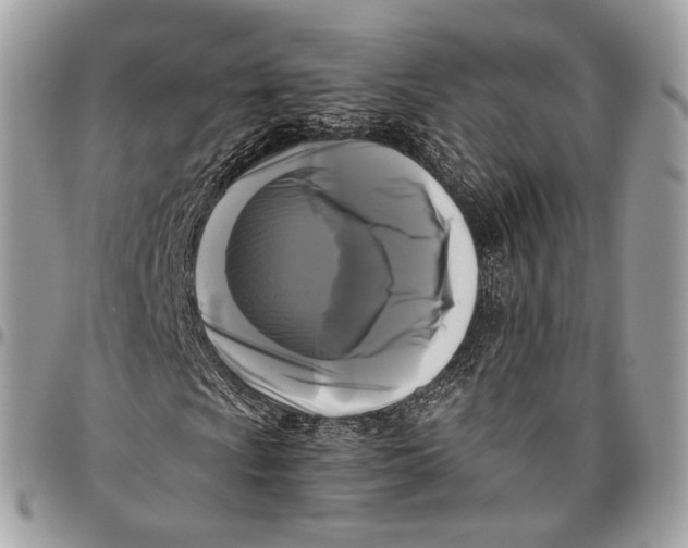 X0000096401009200802141513