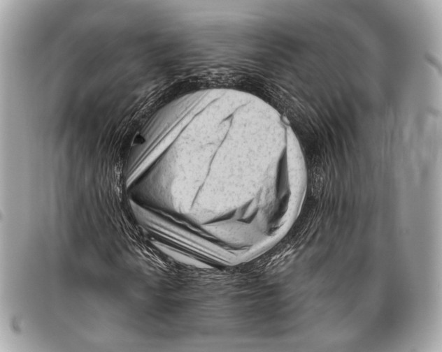 X0000096401010200802141513