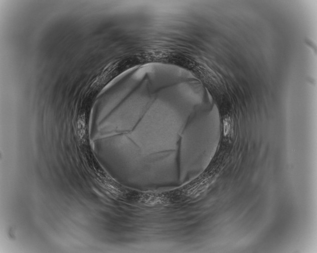 X0000096401011200802141513