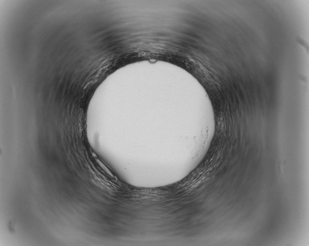 X0000096401012200802141513