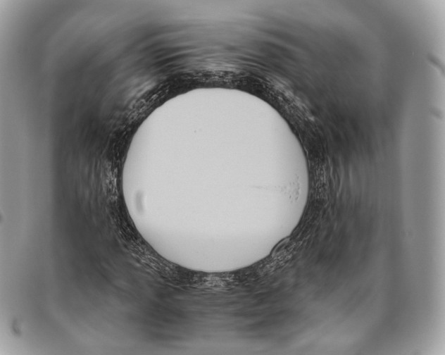 X0000096401013200802141513