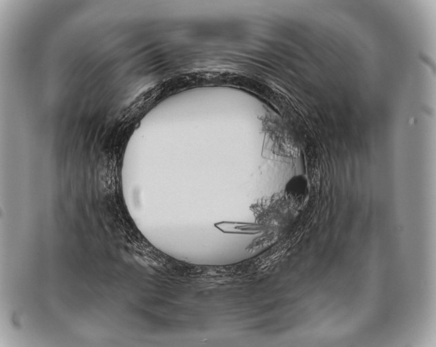 X0000096401014200802141513