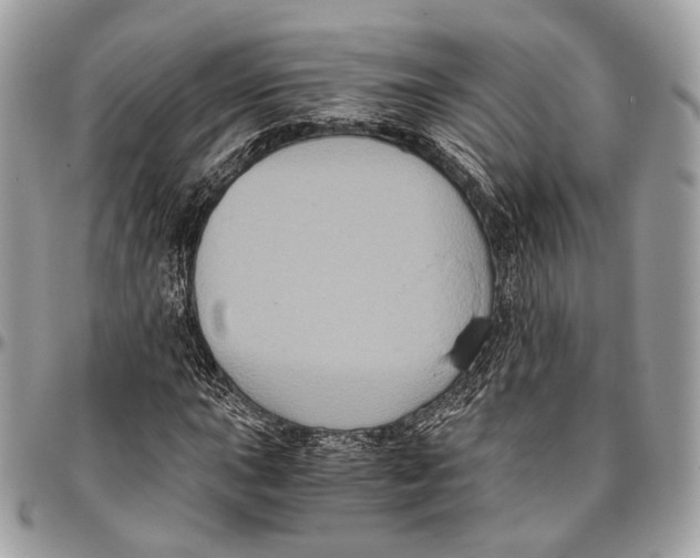 X0000096401015200802141513