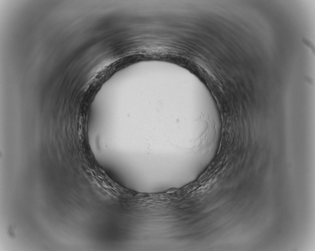 X0000096401016200802141513