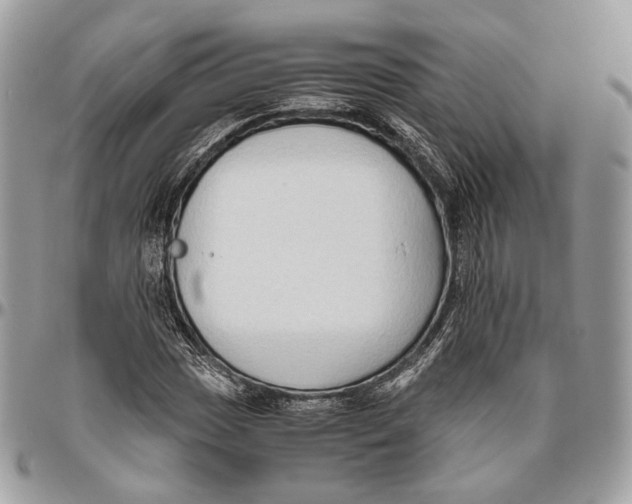 X0000096401017200802141513