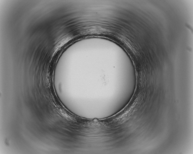 X0000096401018200802141513