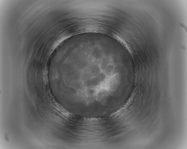 X0000096401019200802141513