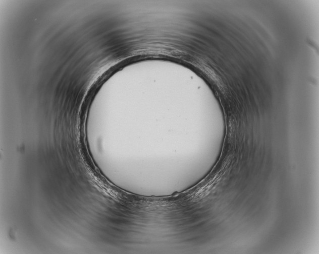 X0000096401020200802141513