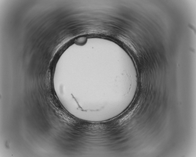 X0000096401021200802141513