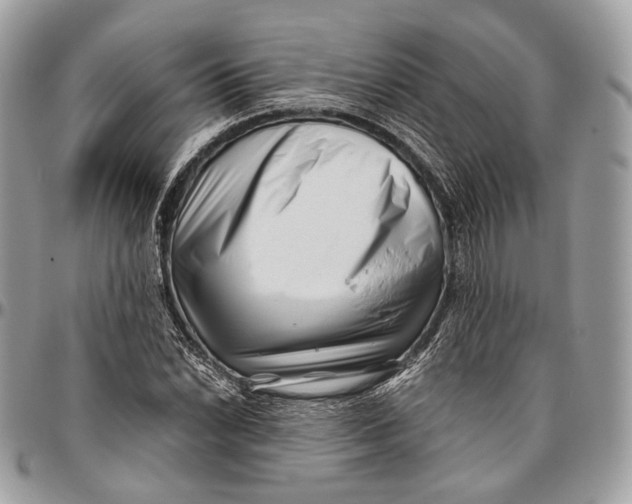 X0000096401022200802141513