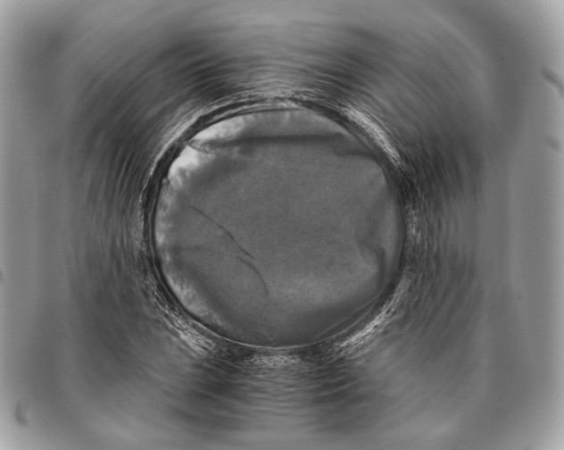 X0000096401023200802141513