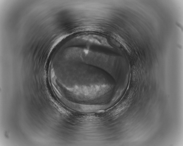 X0000096401024200802141513