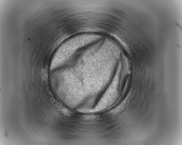 X0000096401025200802141513