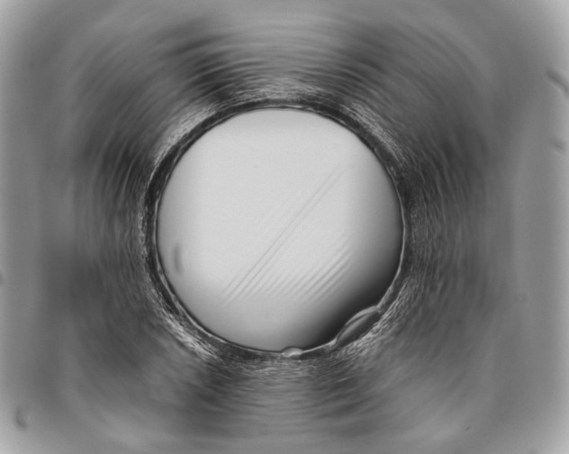 X0000096401026200802141513