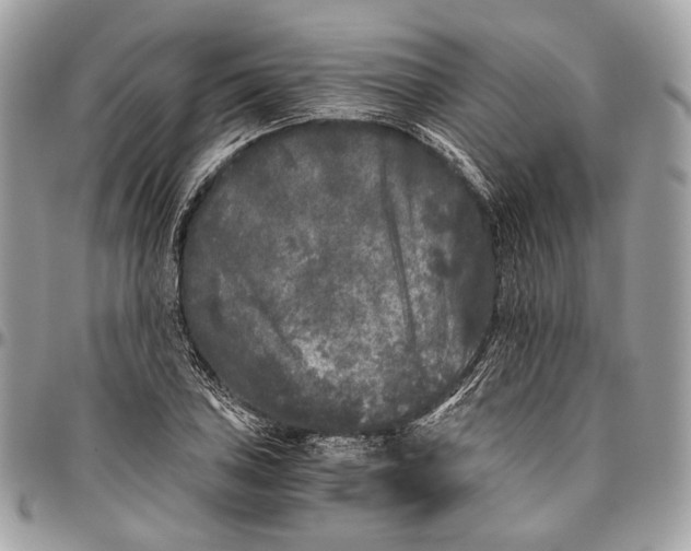 X0000096401027200802141513