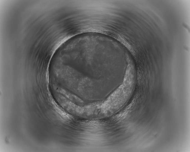 X0000096401028200802141513