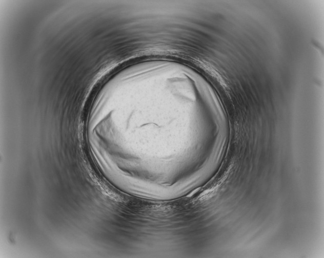 X0000096401029200802141513