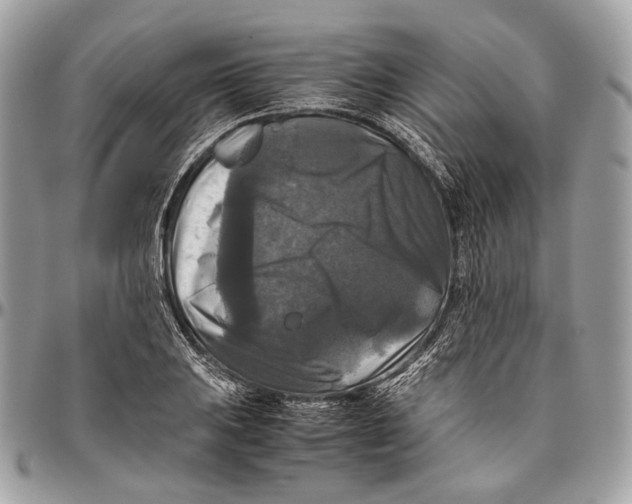 X0000096401031200802141513