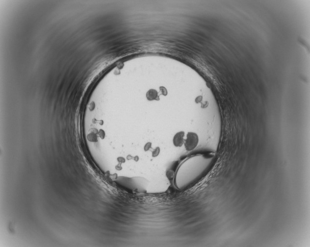 X0000096401032200802141513