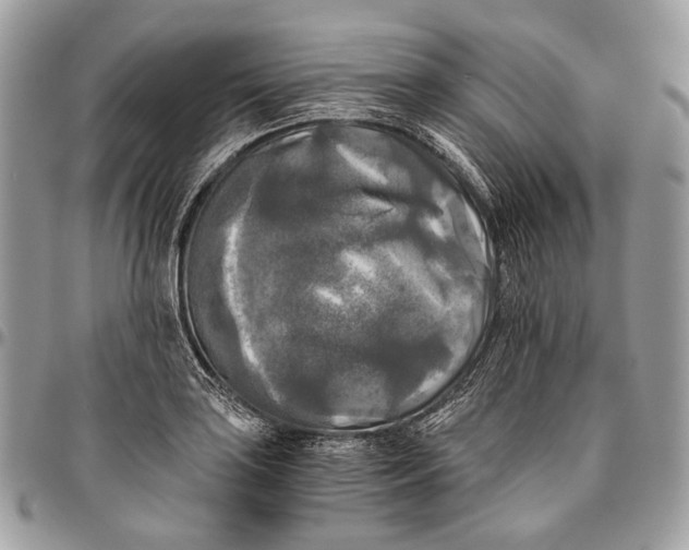 X0000096401035200802141513