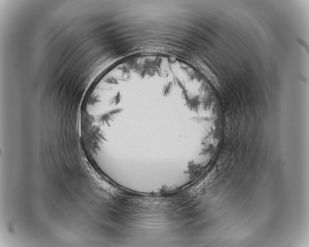 X0000096401036200802141513