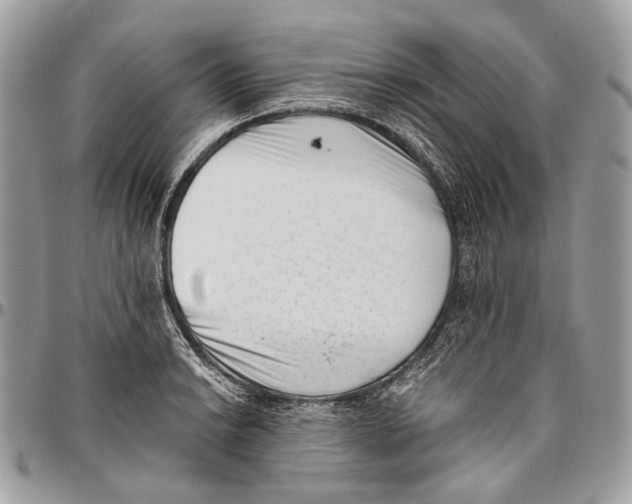 X0000096401038200802141513