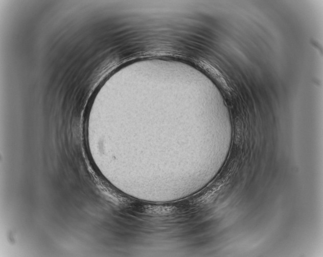 X0000096401039200802141513