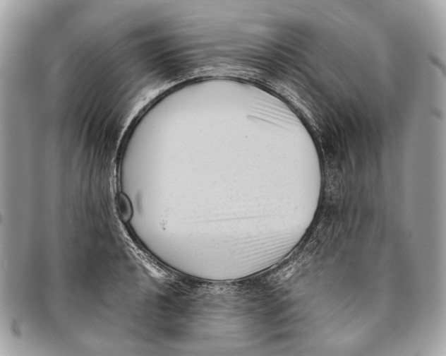 X0000096401040200802141513