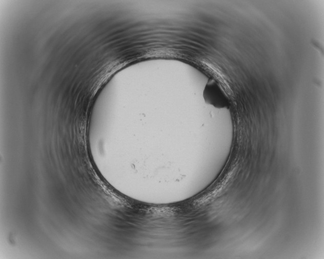 X0000096401041200802141513