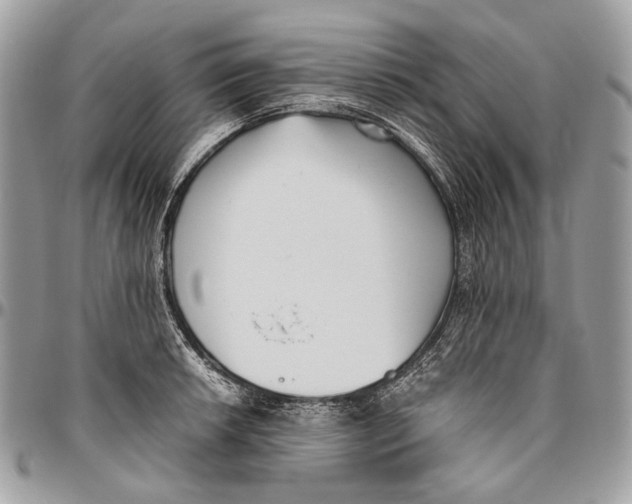 X0000096401042200802141513