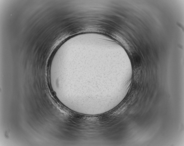 X0000096401043200802141513