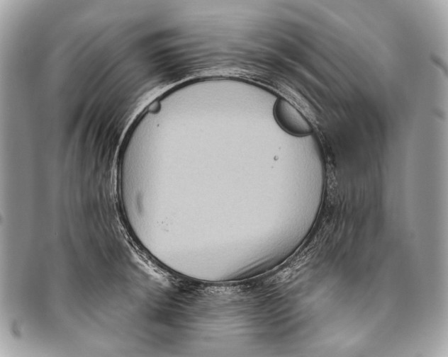 X0000096401044200802141513