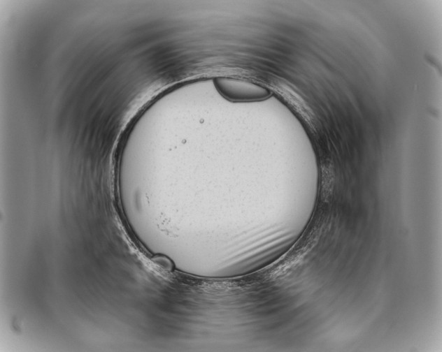 X0000096401046200802141513