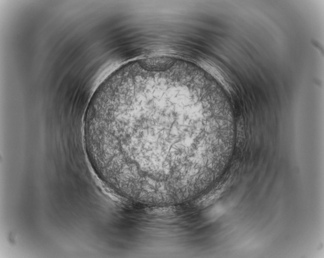 X0000096401047200802141513