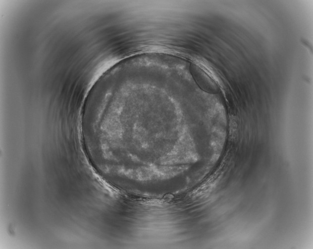 X0000096401048200802141514