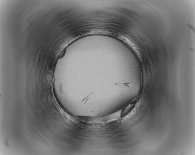 X0000096401049200802141514