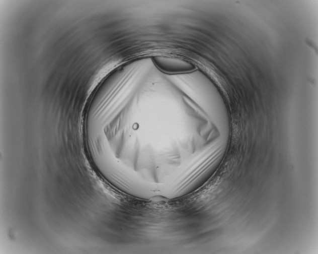 X0000096401050200802141514