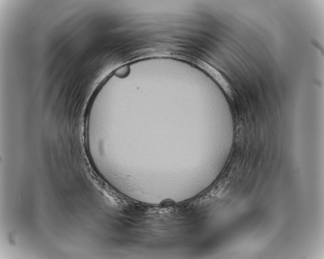 X0000096401051200802141514