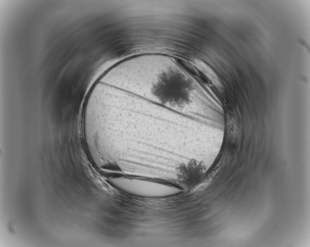 X0000096401052200802141514