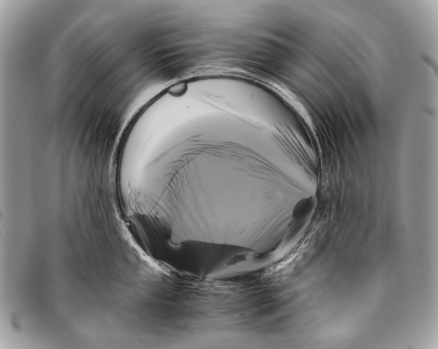 X0000096401053200802141514