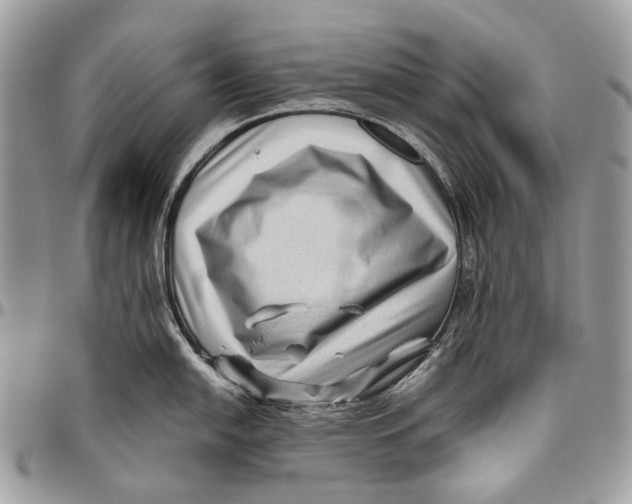 X0000096401054200802141514