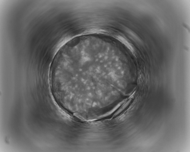 X0000096401055200802141514