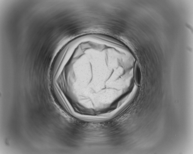 X0000096401056200802141514