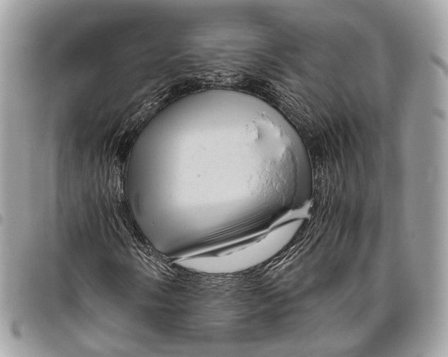 X0000096401058200802141513